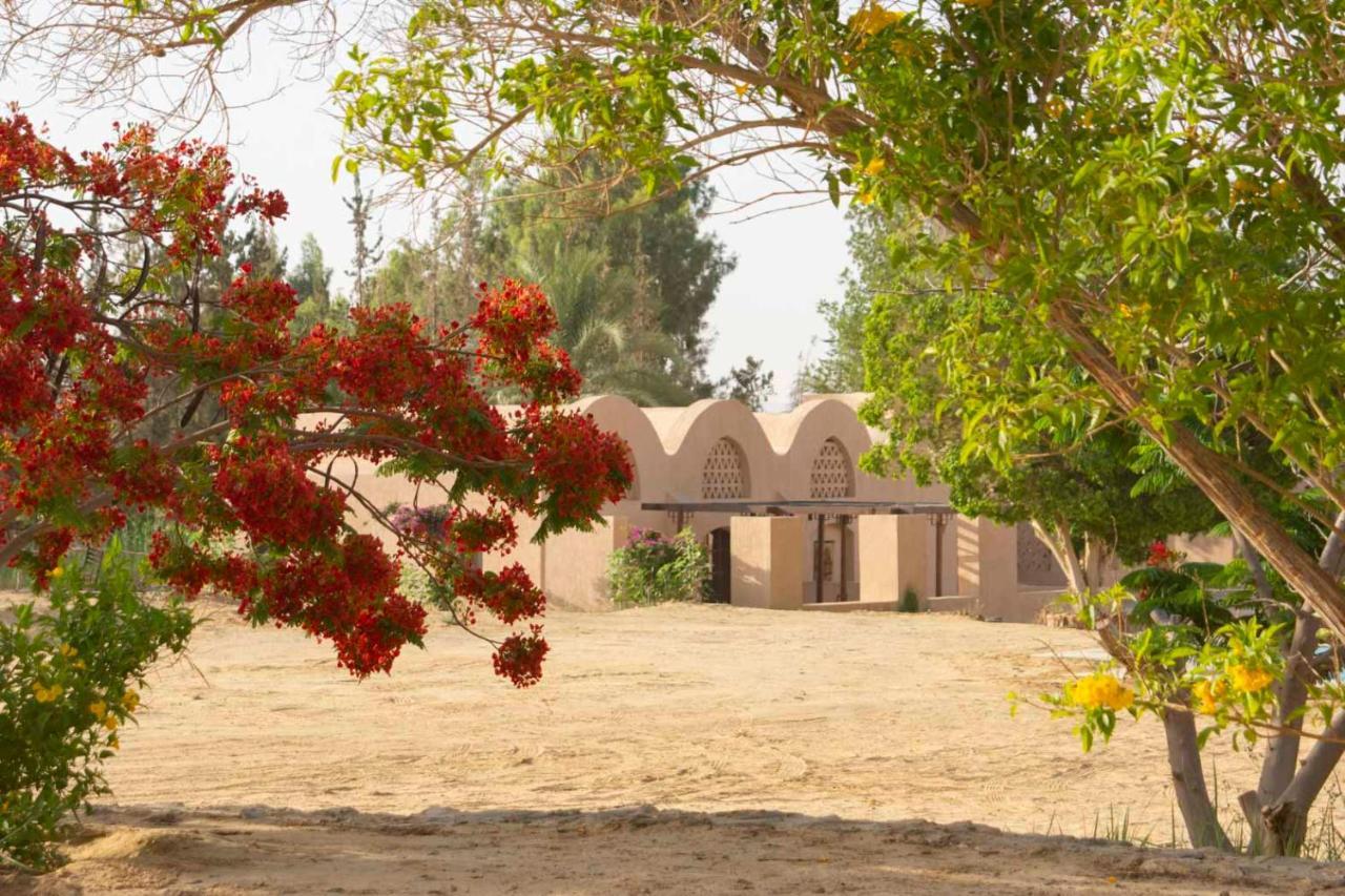 Tzila Bahariya Villa Bahariya Oasis Ngoại thất bức ảnh
