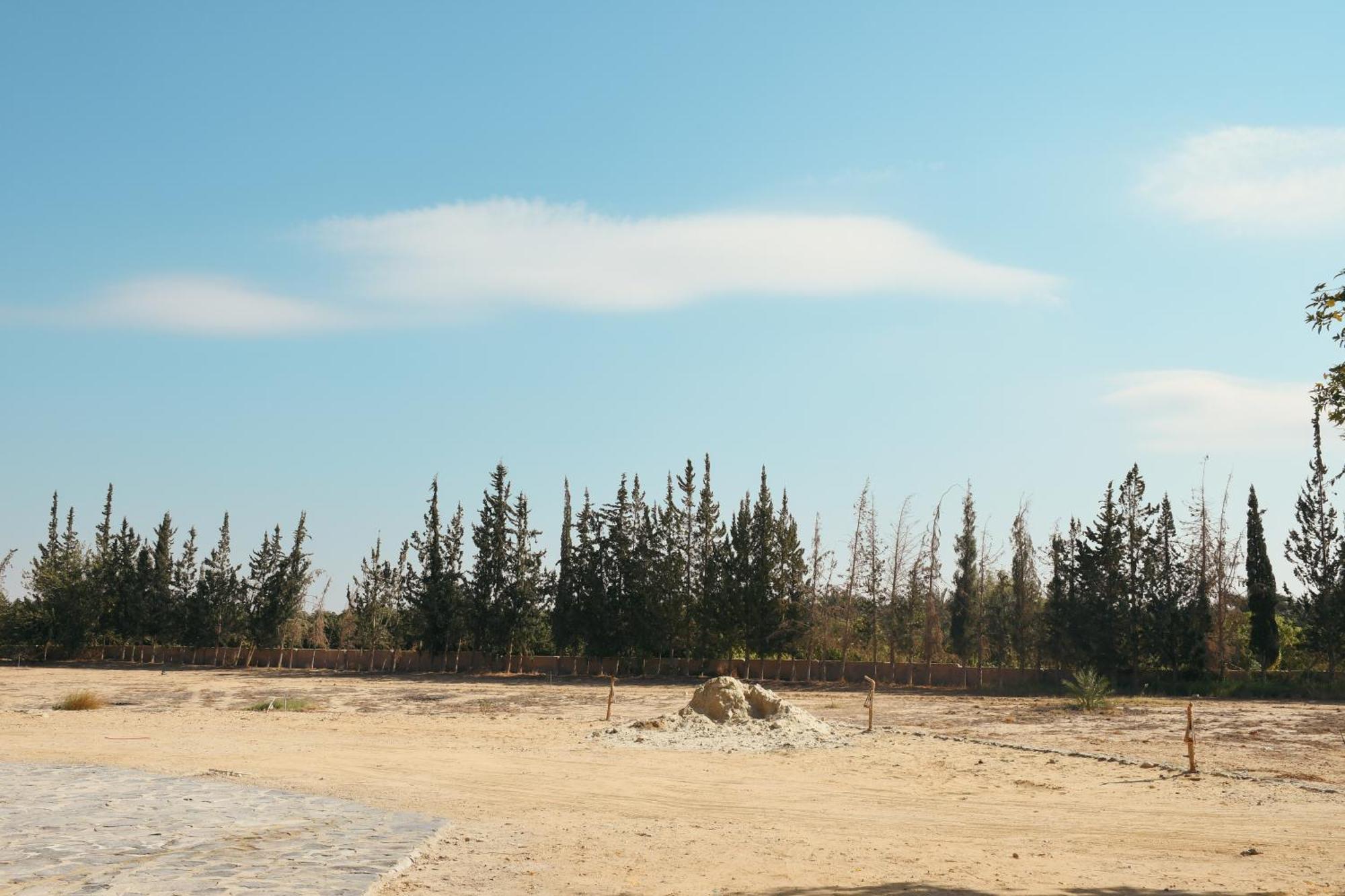 Tzila Bahariya Villa Bahariya Oasis Ngoại thất bức ảnh
