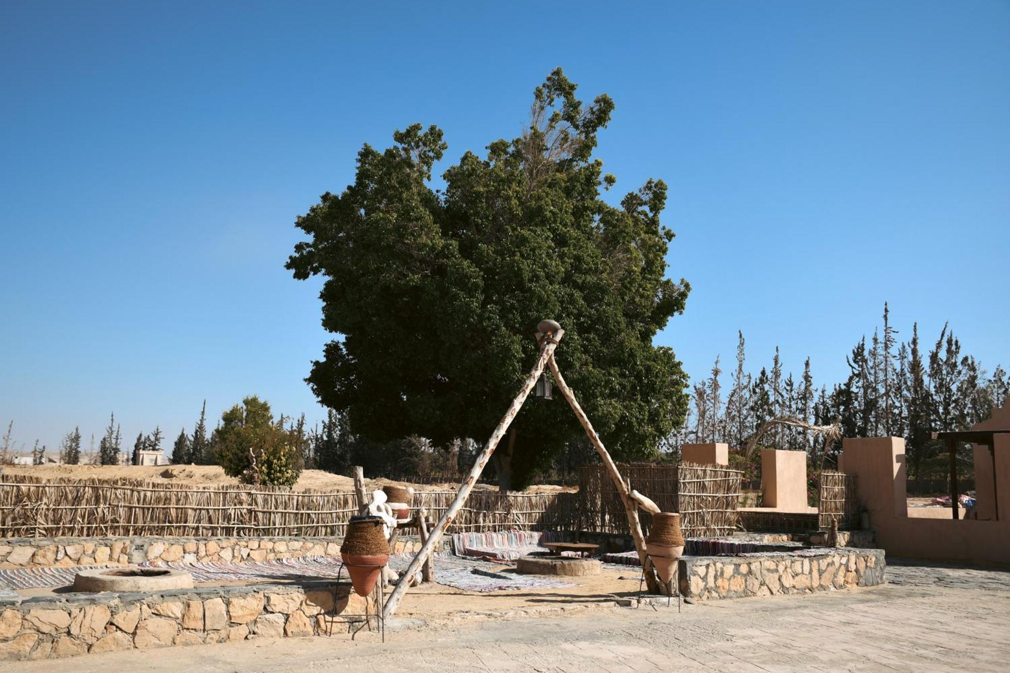 Tzila Bahariya Villa Bahariya Oasis Ngoại thất bức ảnh